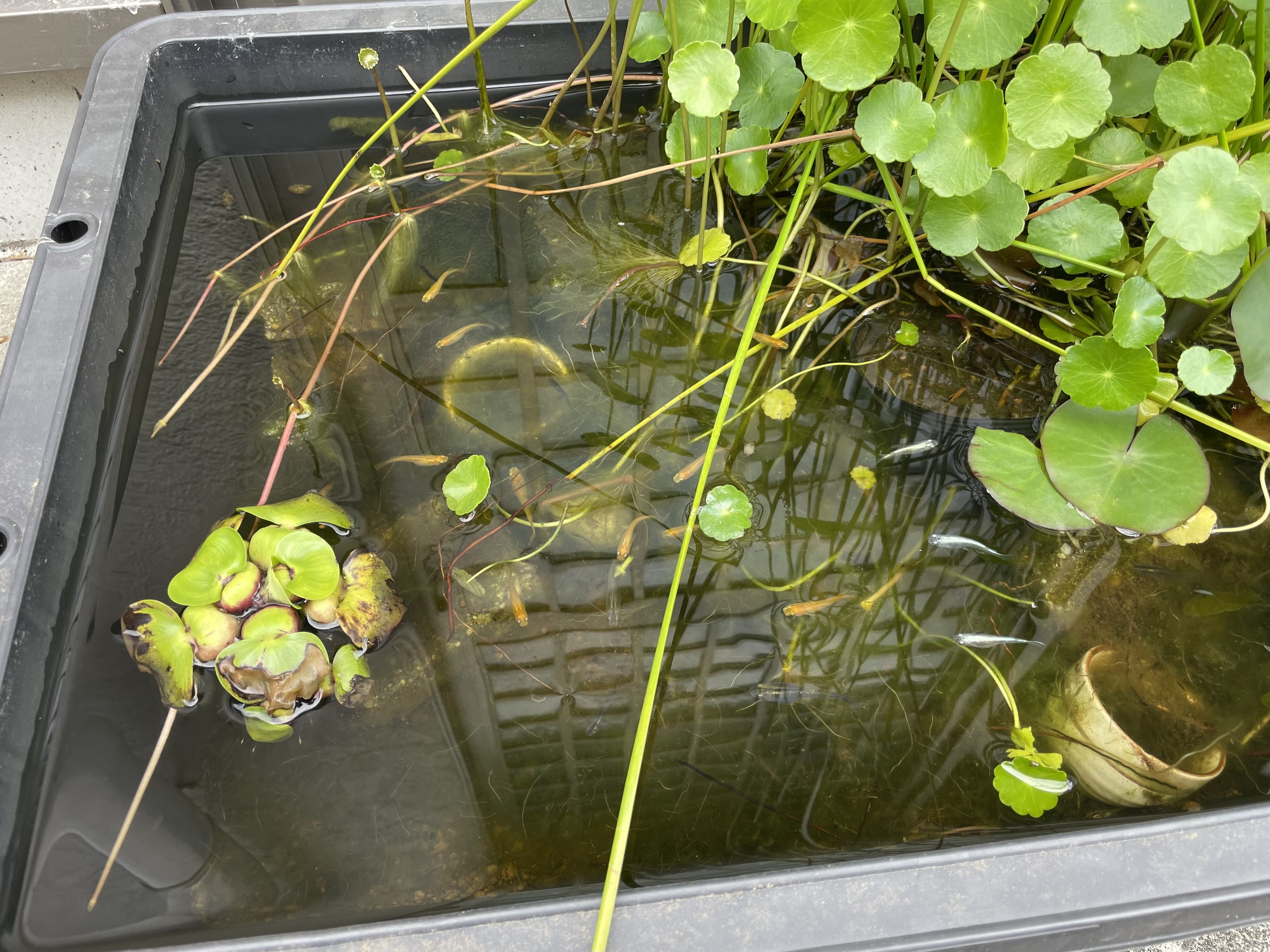 6be33380-47dd-4df1-8809-60400fc30843-0