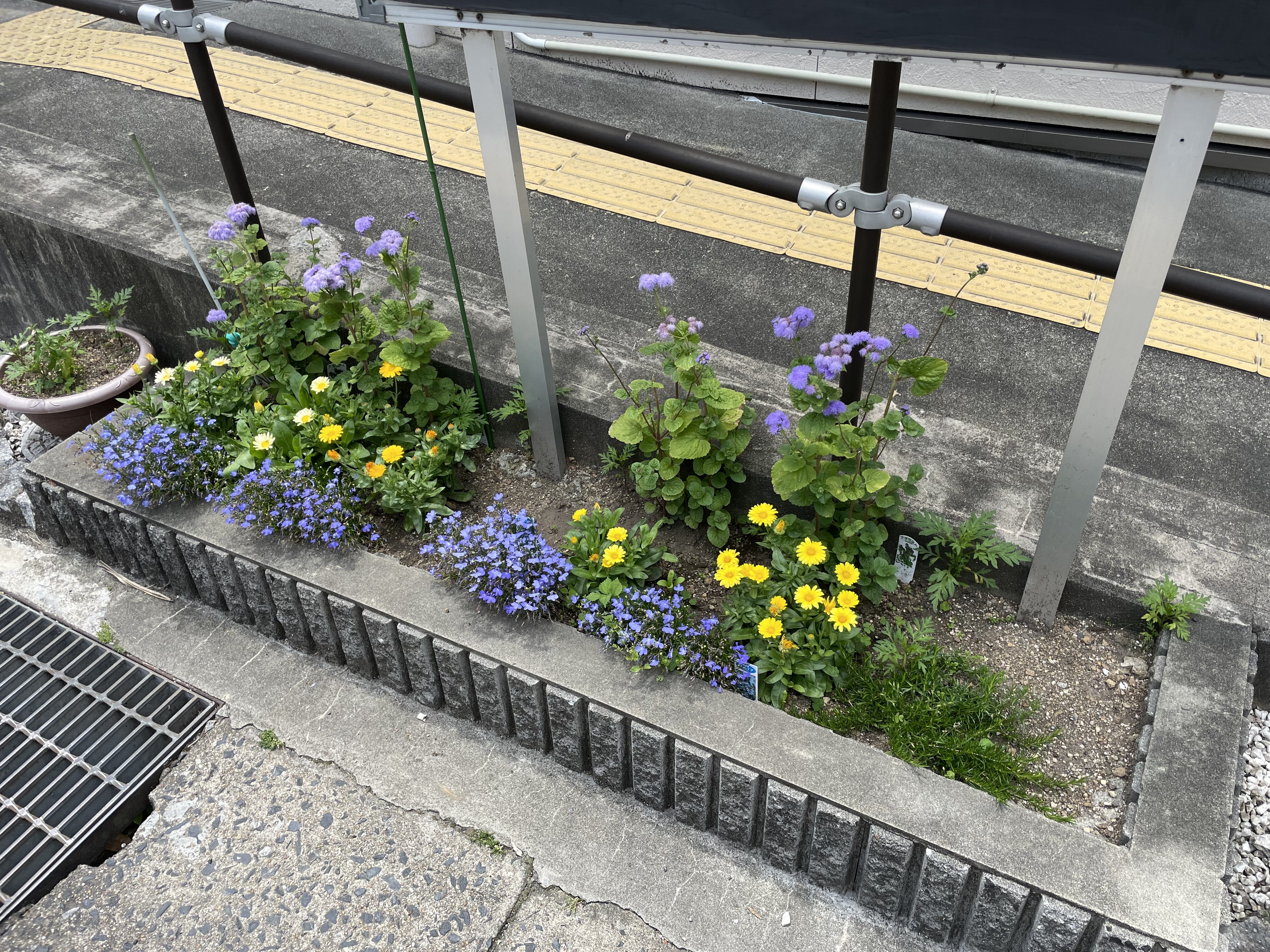 d516e7b1-0220-41f5-943e-17e4af38d9bc-0